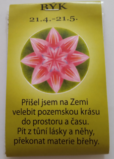 Čajíček - býk
